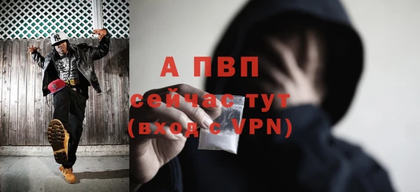 PSILOCYBIN Шарыпово