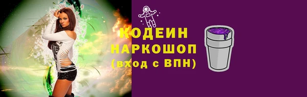 индика Зерноград