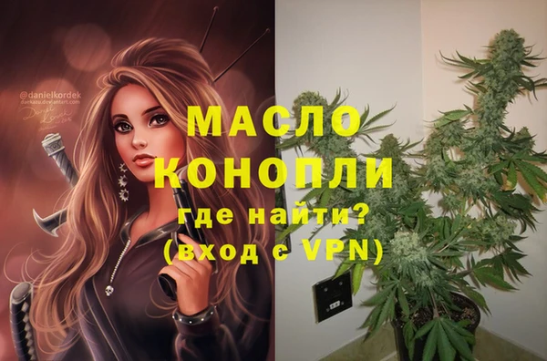 индика Зерноград