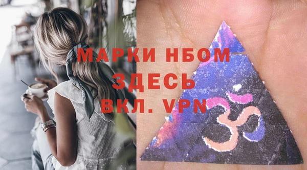 прущие грибы Шали