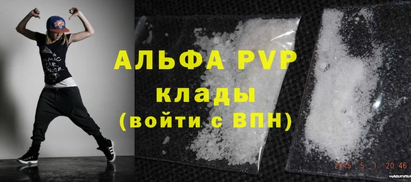 СК Зеленокумск