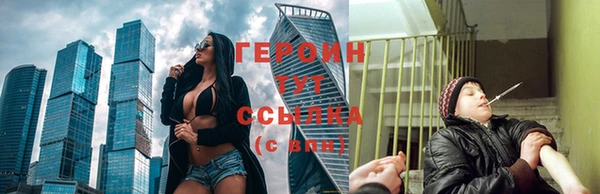 СК Зеленокумск