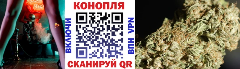 площадка какой сайт  Киселёвск  mega сайт  Марихуана гибрид  где купить  